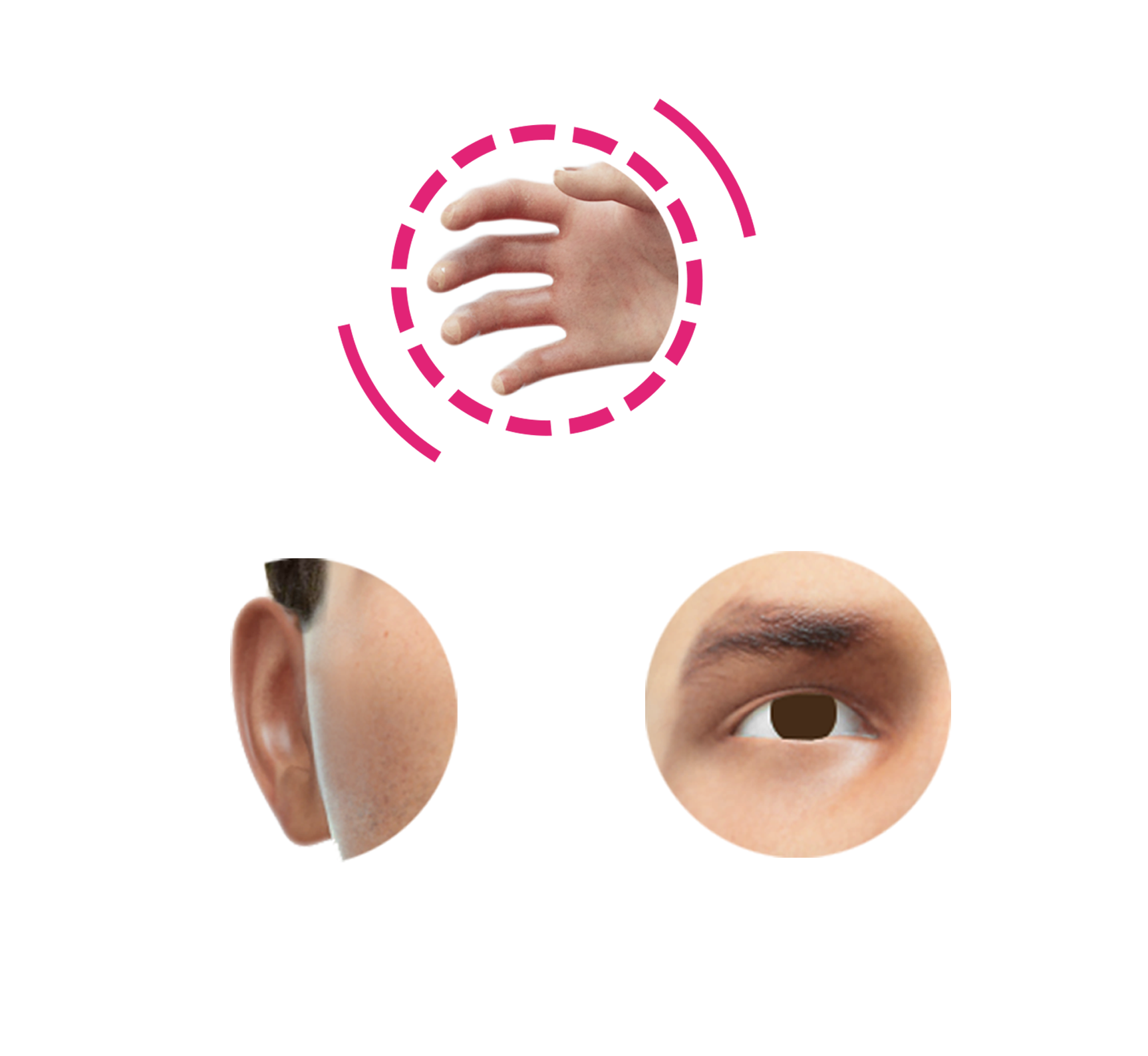 Three white circles with images of a hand, an ear, and an eye as examples of haptic codecs