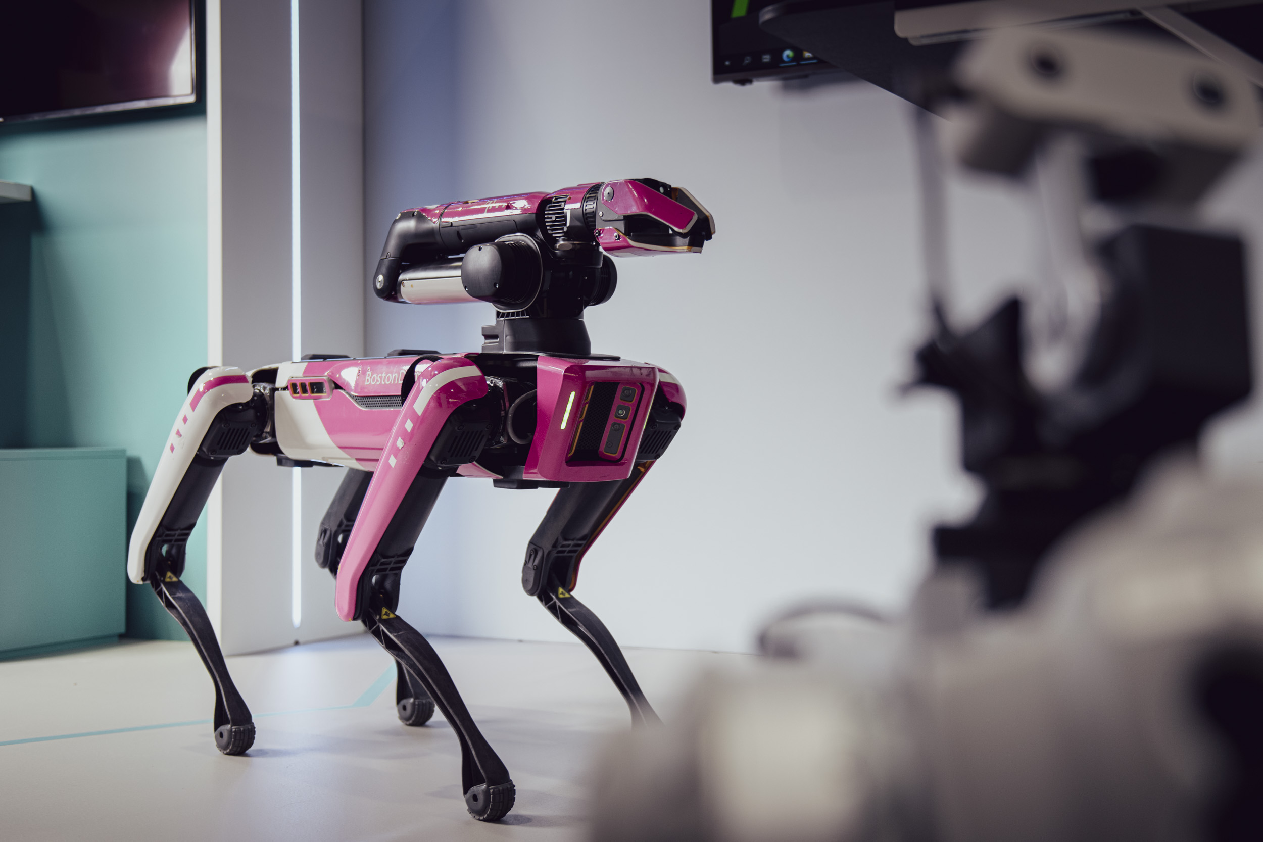 A magenta robotic dog