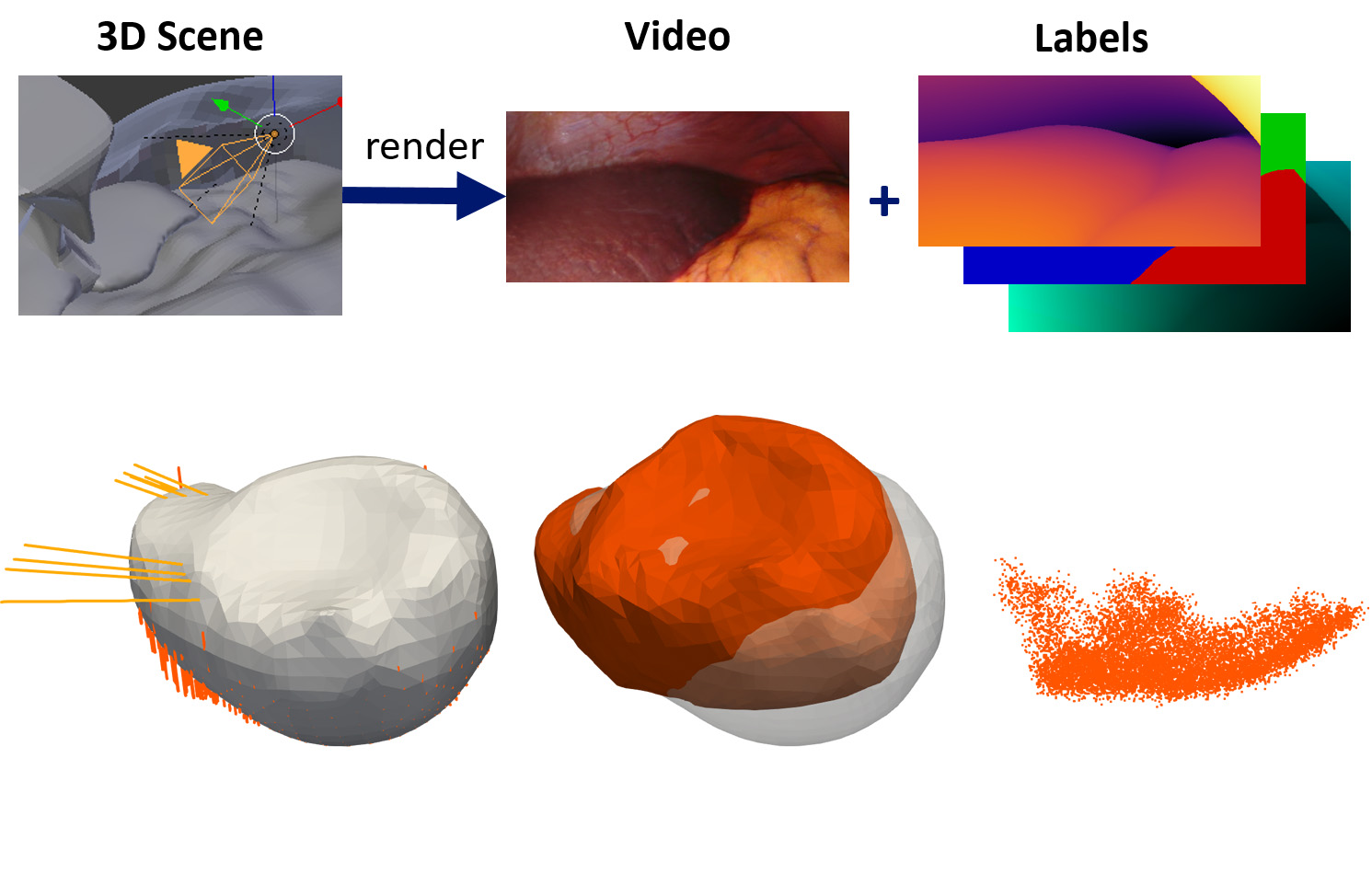 Infographic about the rendering from a 3D scene to a video with labeling for human organs